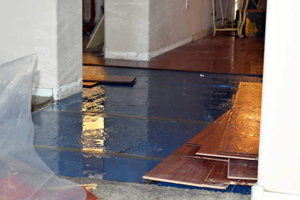 Professional Burst Pipe Cleanup technician working in Lohman, MO