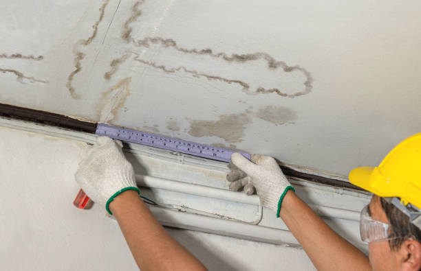 Reliable Burst Pipe Cleanup contractor in Lohman, MO by Water Damage Irwin